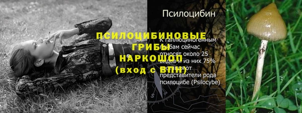 дурь Пересвет