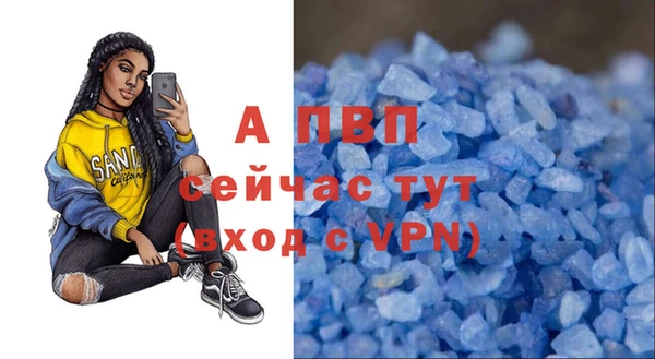 СК Нижний Тагил
