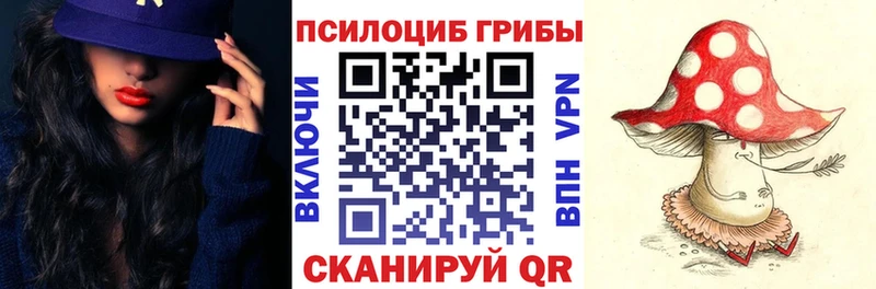 где найти наркотики  Усть-Кут  Псилоцибиновые грибы Psilocybine cubensis 