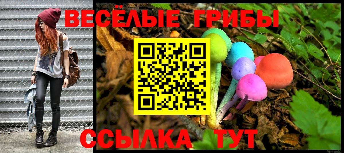 Галлюциногенные грибы Psilocybine cubensis Усть-Кут