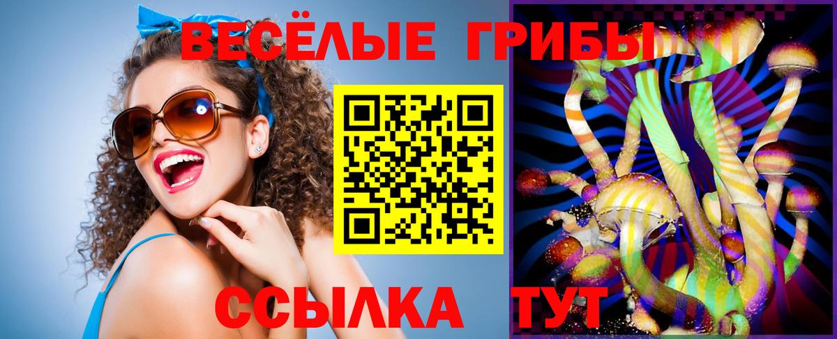 Галлюциногенные грибы Psilocybe  Вход с VPN  Усть-Кут 