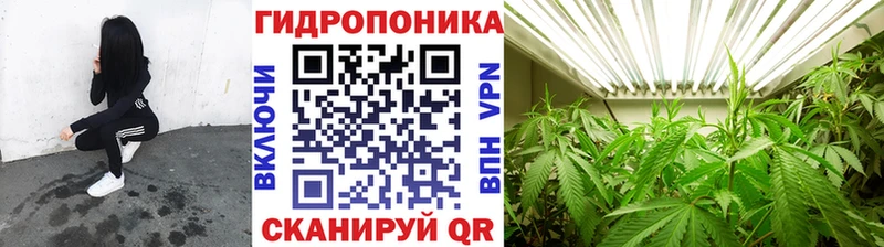 МЕГА   Усть-Кут  Бошки марихуана индика 